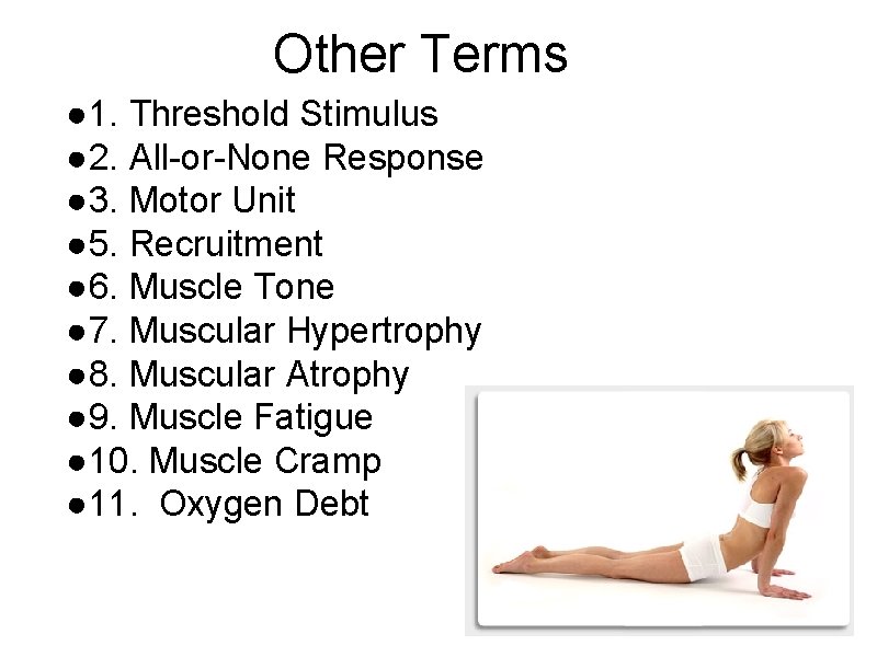 Other Terms ● 1. Threshold Stimulus ● 2. All-or-None Response ● 3. Motor Unit
