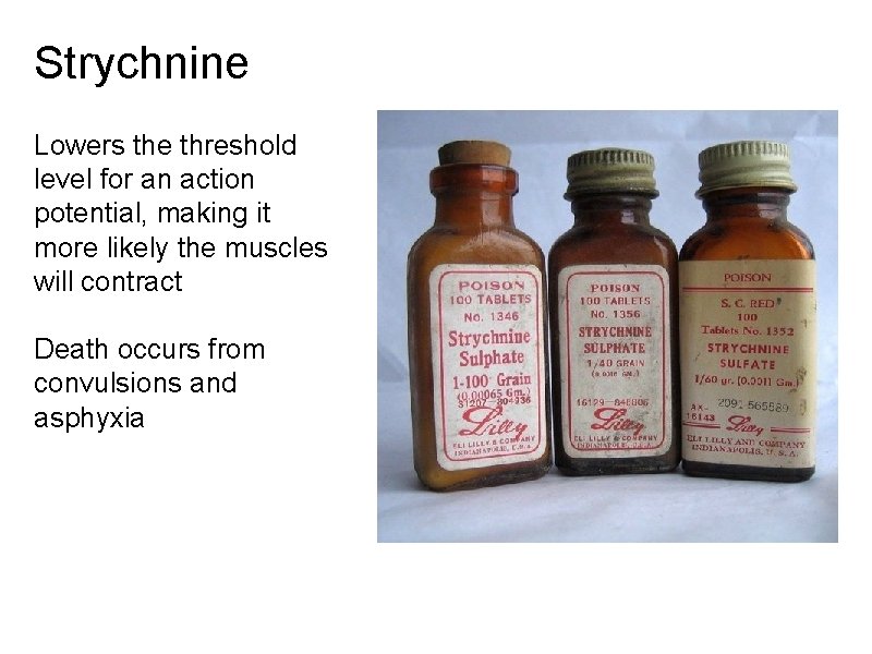 Strychnine Lowers the threshold level for an action potential, making it more likely the