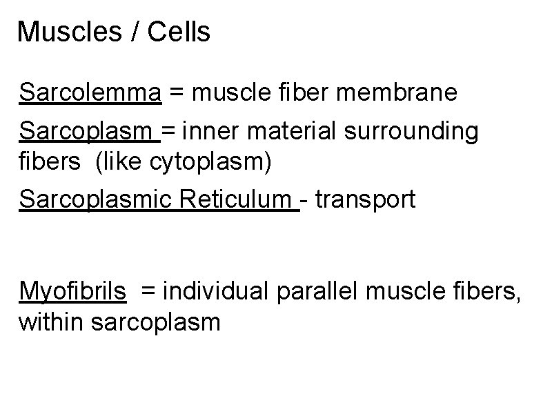 Muscles / Cells Sarcolemma = muscle fiber membrane Sarcoplasm = inner material surrounding fibers