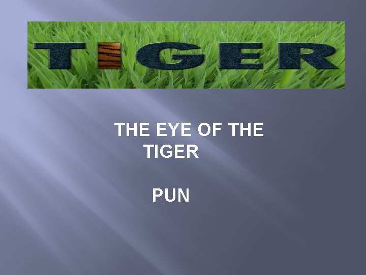 THE EYE OF THE TIGER PUN 