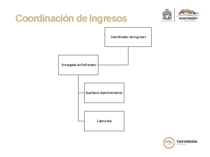 Coordinación de Ingresos Coordinador de Ingresos Encargado de Refrendos Auxiliares Administrativos Capturista 
