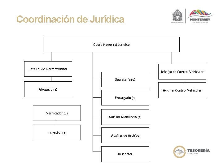 Coordinación de Jurídica Coordinador (a) Jurídico Jefe (a) de Normatividad Jefe (a) de Control
