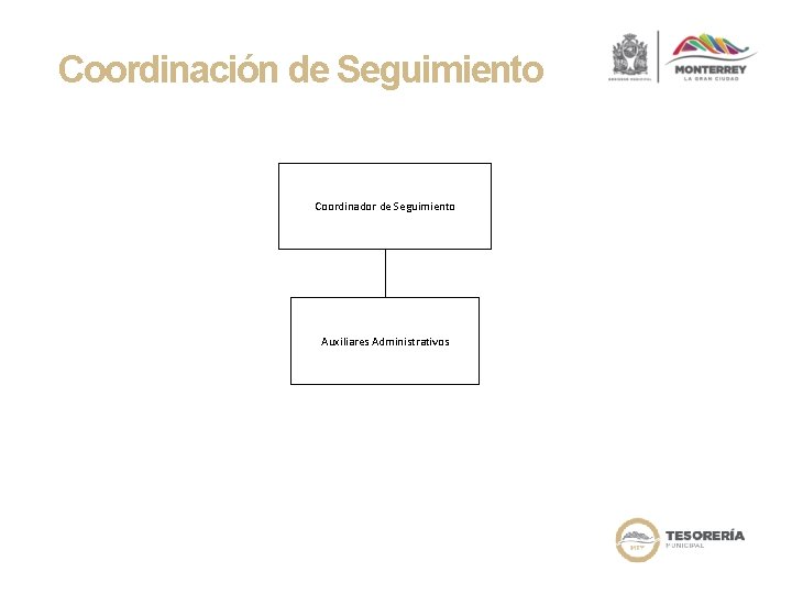 Coordinación de Seguimiento Coordinador de Seguimiento Auxiliares Administrativos 