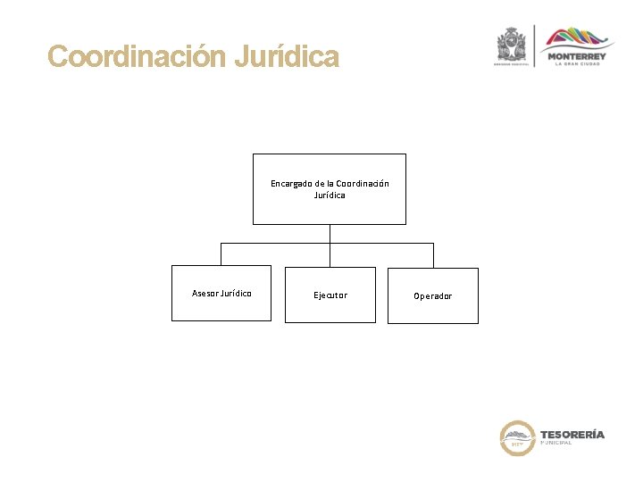 Coordinación Jurídica Encargado de la Coordinación Jurídica Asesor Jurídico Ejecutor Operador 