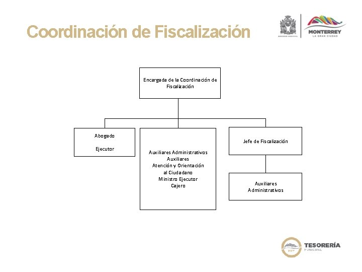 Coordinación de Fiscalización Encargada de la Coordinación de Fiscalización Abogado Ejecutor Jefe de Fiscalización