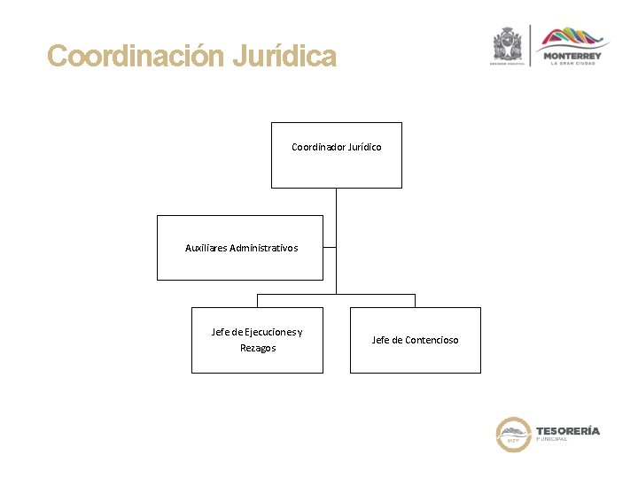 Coordinación Jurídica Coordinador Jurídico Auxiliares Administrativos Jefe de Ejecuciones y Rezagos Jefe de Contencioso