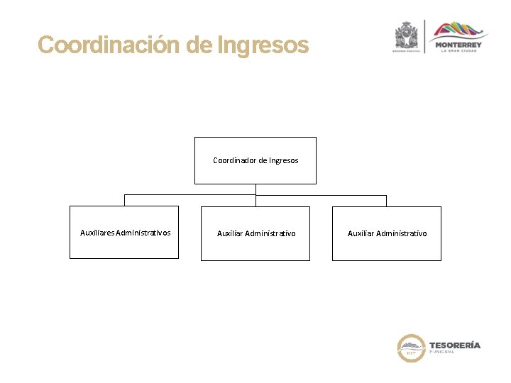 Coordinación de Ingresos Coordinador de Ingresos Auxiliares Administrativos Auxiliar Administrativo 