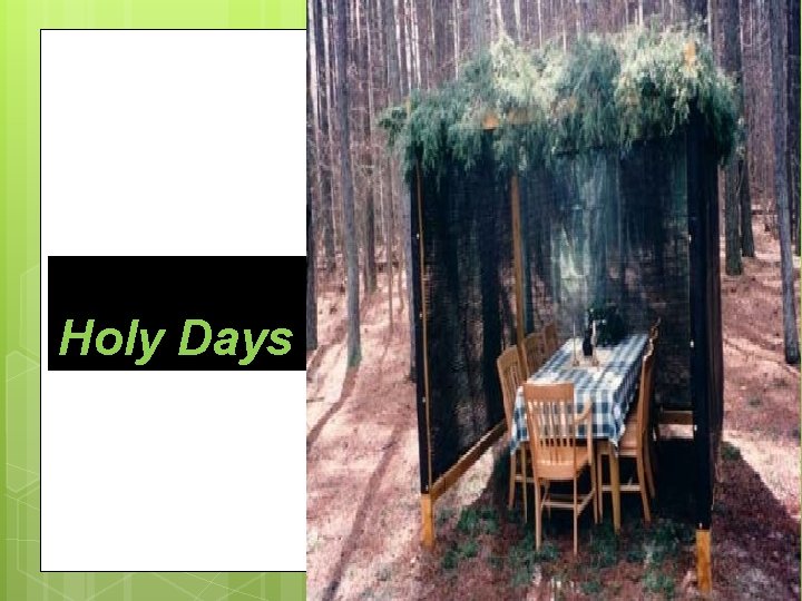 Holy Days Holy Days