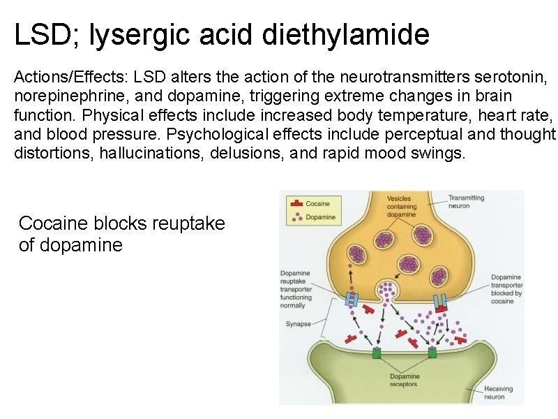 LSD; lysergic acid diethylamide Actions/Effects: LSD alters the action of the neurotransmitters serotonin, norepinephrine, LSD; lysergic acid diethylamide Actions/Effects: LSD alters the action of the neurotransmitters serotonin, norepinephrine,