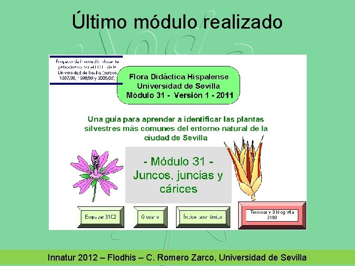 Último módulo realizado Innatur 2012 – Flodhis – C. Romero Zarco, Universidad de Sevilla