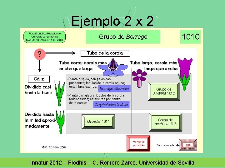 Ejemplo 2 x 2 Innatur 2012 – Flodhis – C. Romero Zarco, Universidad de