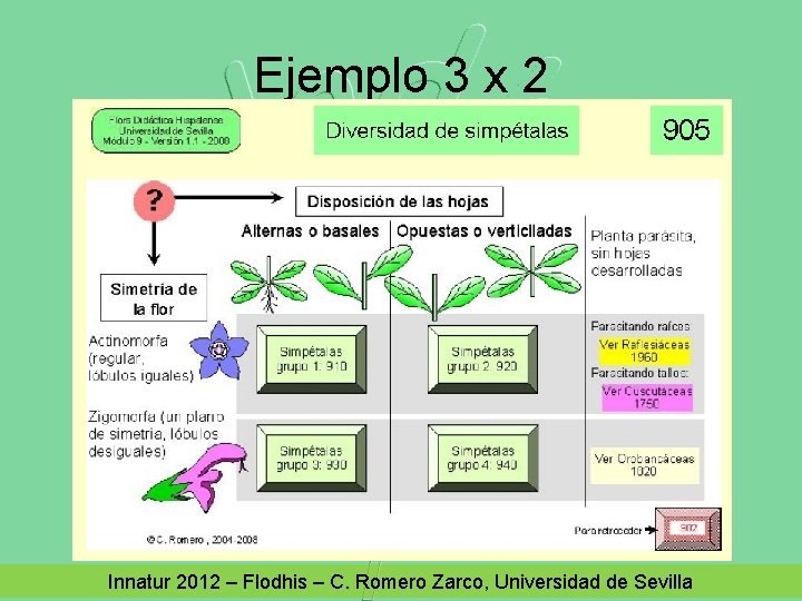 Ejemplo 3 x 2 Innatur 2012 – Flodhis – C. Romero Zarco, Universidad de