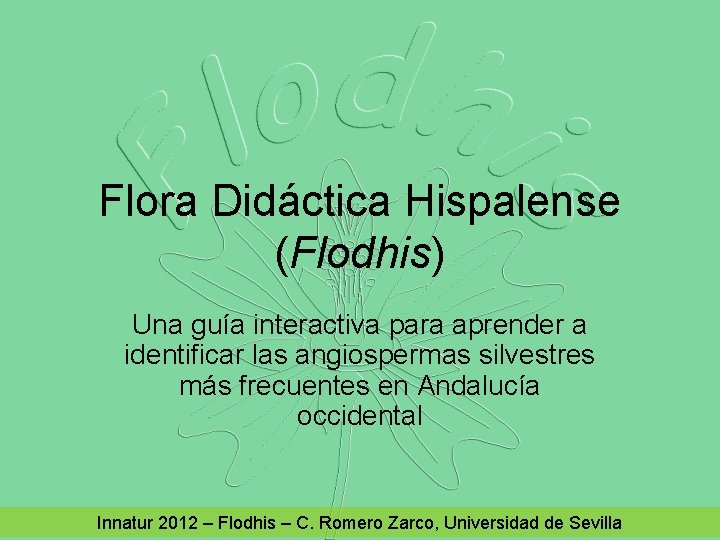 Flora Didáctica Hispalense (Flodhis) Una guía interactiva para aprender a identificar las angiospermas silvestres