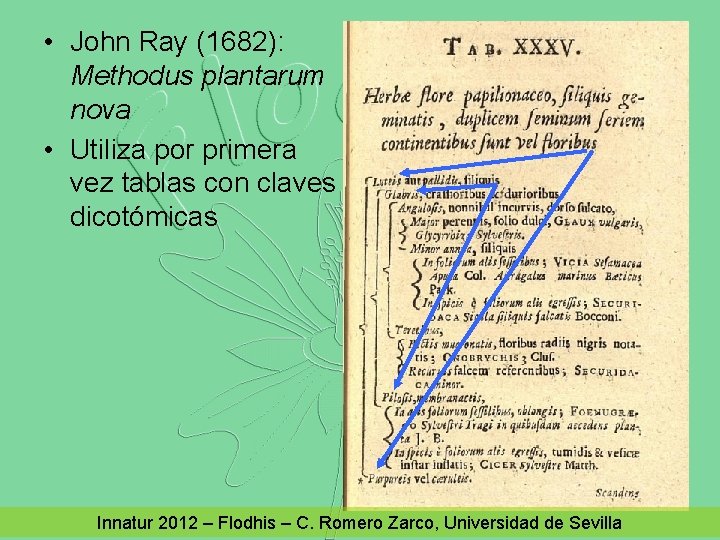  • John Ray (1682): Methodus plantarum nova • Utiliza por primera vez tablas