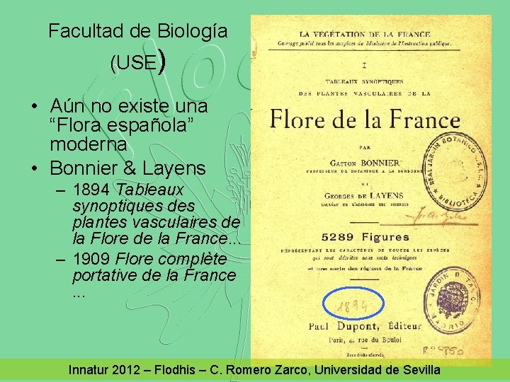 Facultad de Biología (USE) • Aún no existe una “Flora española” moderna • Bonnier