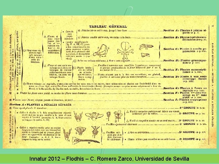 Innatur 2012 – Flodhis – C. Romero Zarco, Universidad de Sevilla 