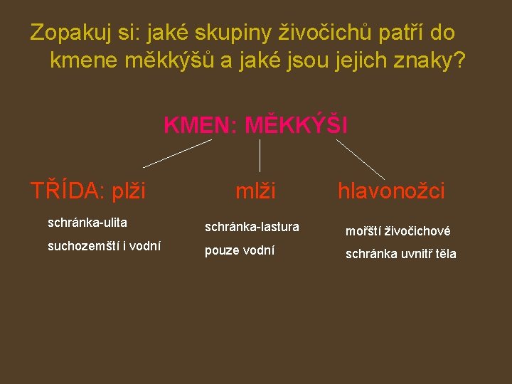 Zopakuj si: jaké skupiny živočichů patří do kmene měkkýšů a jaké jsou jejich znaky?