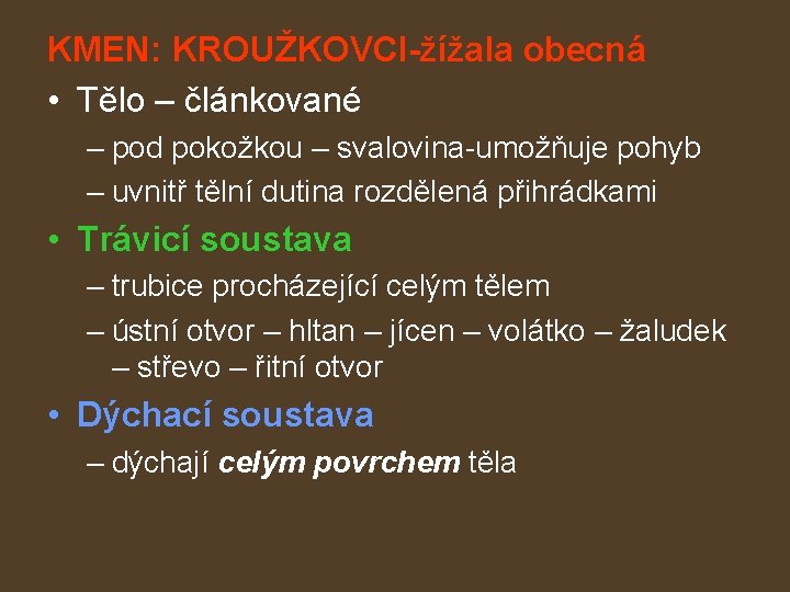 KMEN: KROUŽKOVCI-žížala obecná • Tělo – článkované – pod pokožkou – svalovina-umožňuje pohyb –