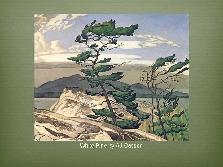 White Pine by AJ Casson 