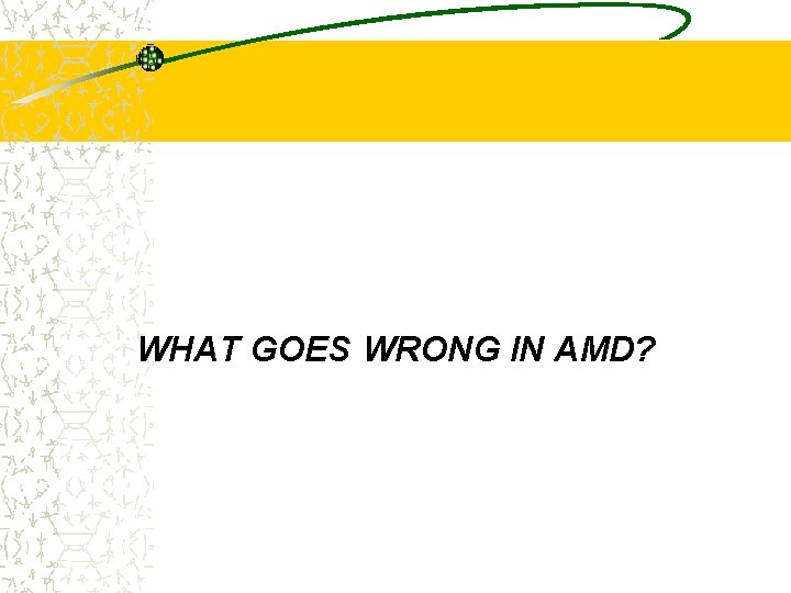 WHAT GOES WRONG IN AMD? 