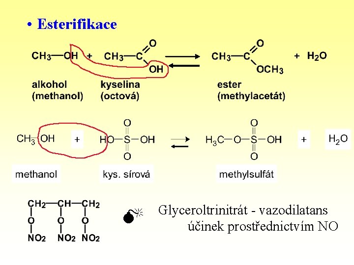  • Esterifikace Glyceroltrinitrát - vazodilatans účinek prostřednictvím NO 