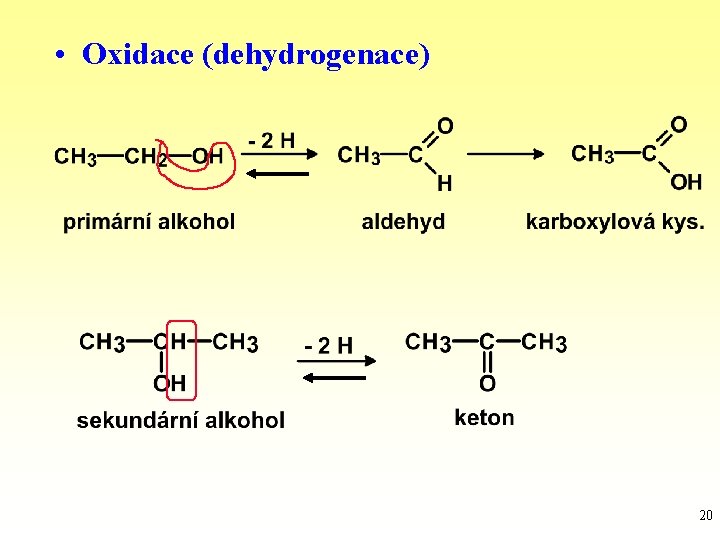  • Oxidace (dehydrogenace) 20 