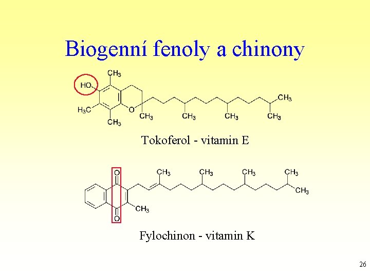Biogenní fenoly a chinony Tokoferol - vitamin E Fylochinon - vitamin K 26 