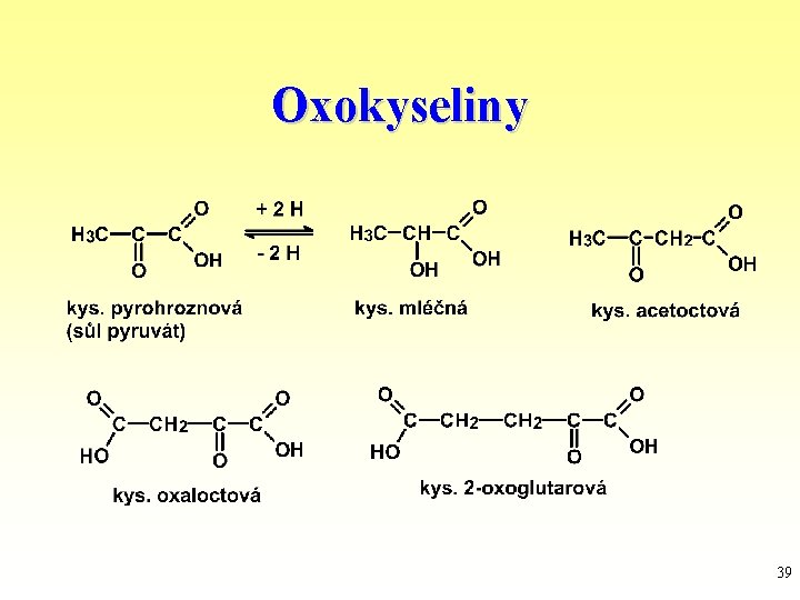 Oxokyseliny 39 