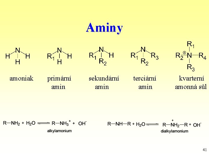 Aminy amoniak primární amin sekundární amin terciární amin kvarterní amonná sůl 41 