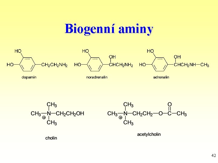 Biogenní aminy 42 
