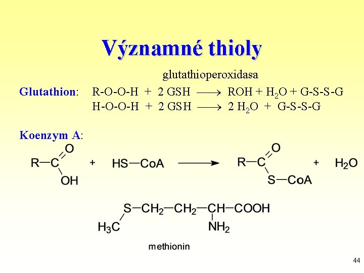 Významné thioly Glutathion: glutathioperoxidasa R-O-O-H + 2 GSH ROH + H 2 O +