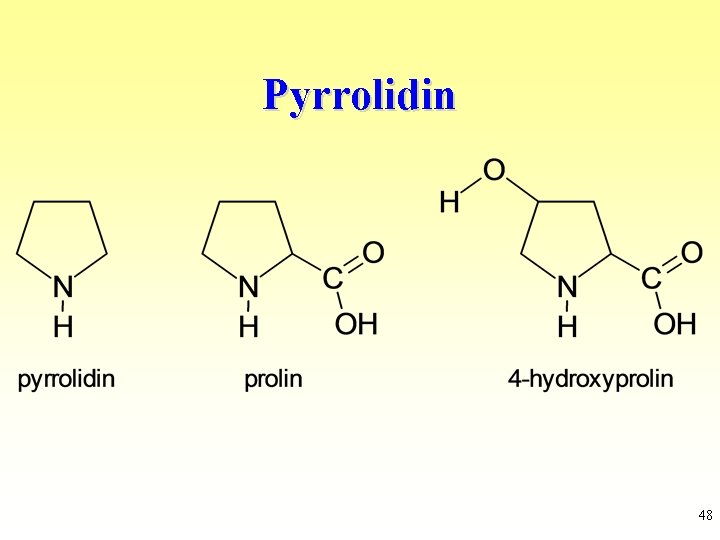 Pyrrolidin 48 