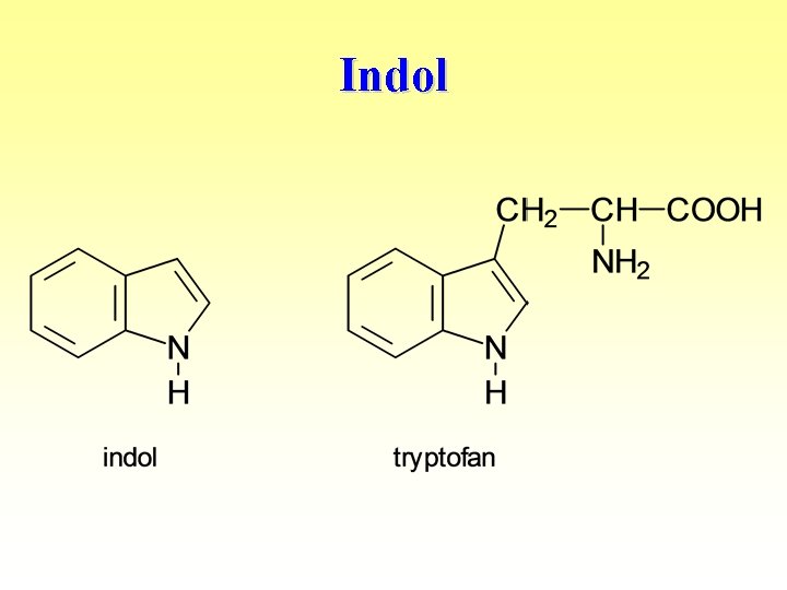 Indol 