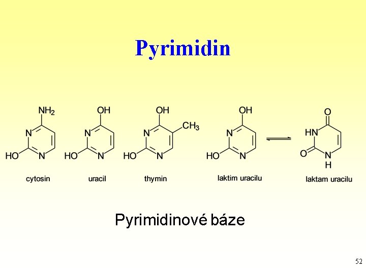 Pyrimidinové báze 52 