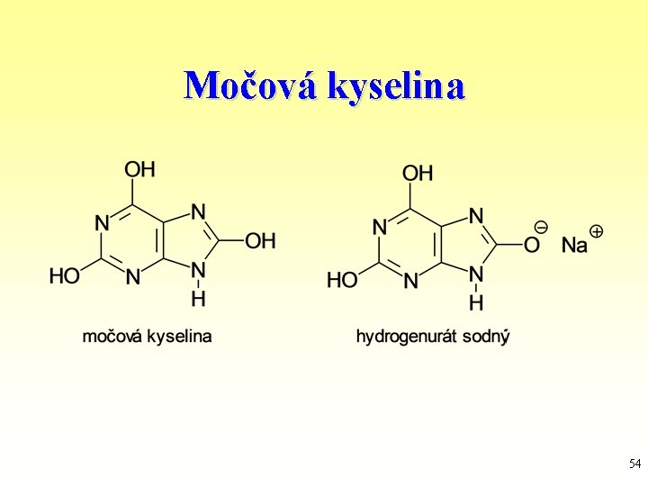Močová kyselina 54 