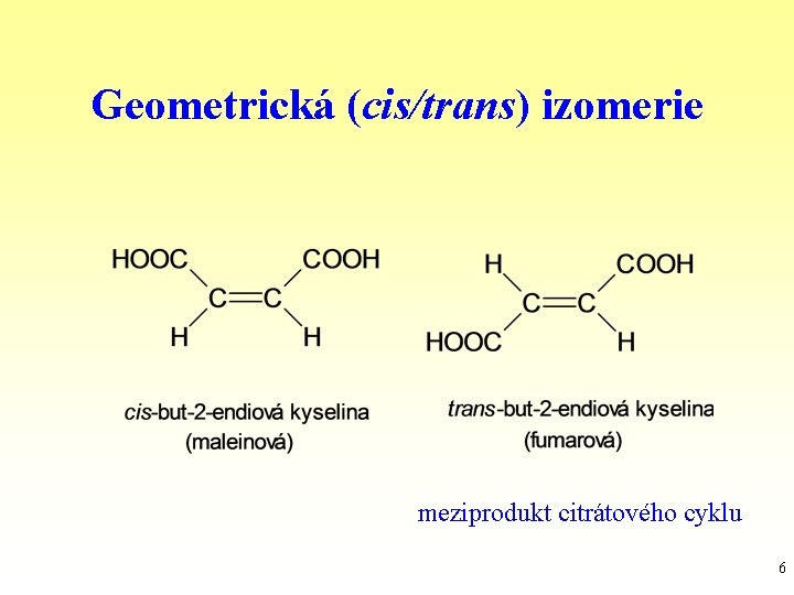 Geometrická (cis/trans) izomerie meziprodukt citrátového cyklu 6 