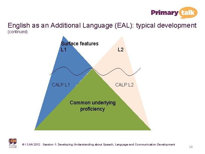 English as an Additional Language (EAL): typical development (continued) Surface features L 1 CALP