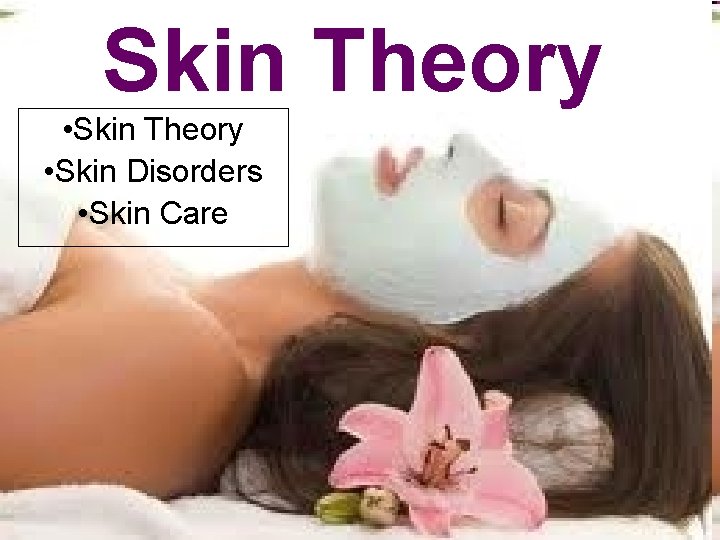 Skin Theory • Skin Disorders • Skin Care 