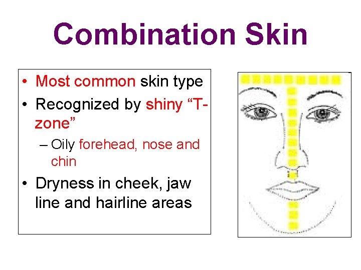 Combination Skin • Most common skin type • Recognized by shiny “Tzone” – Oily