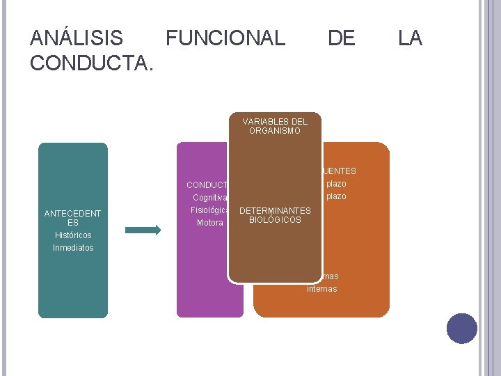 ANÁLISIS FUNCIONAL CONDUCTA. DE VARIABLES DEL ORGANISMO CONSECUENTES A corto plazo A largo plazo