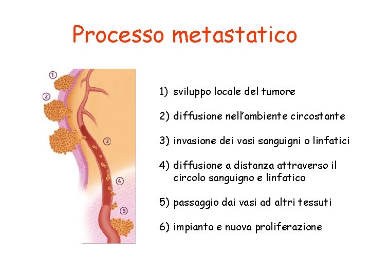 Processo metastatico 1) sviluppo locale del tumore 2) diffusione nell’ambiente circostante 3) invasione dei