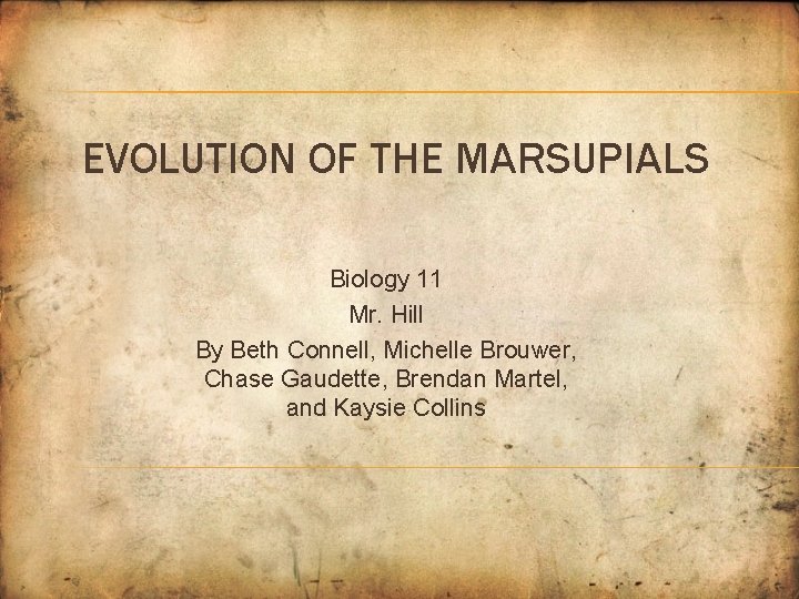 EVOLUTION OF THE MARSUPIALS Biology 11 Mr. Hill By Beth Connell, Michelle Brouwer, Chase