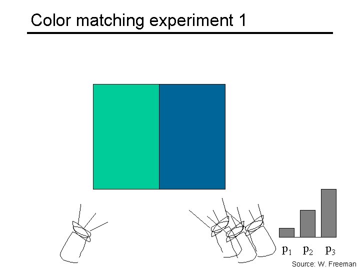Color matching experiment 1 p 2 p 3 Source: W. Freeman 