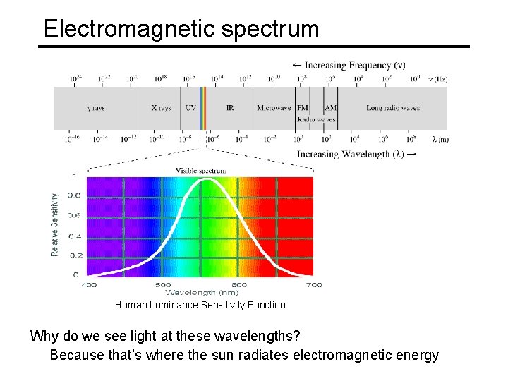 Electromagnetic spectrum Human Luminance Sensitivity Function Why do we see light at these wavelengths?