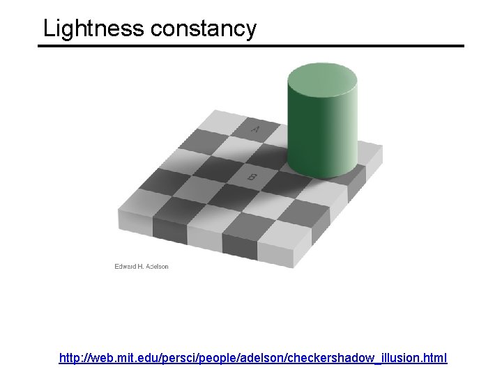 Lightness constancy http: //web. mit. edu/persci/people/adelson/checkershadow_illusion. html 