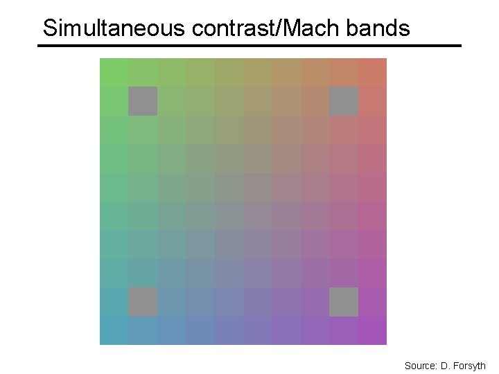 Simultaneous contrast/Mach bands Source: D. Forsyth 