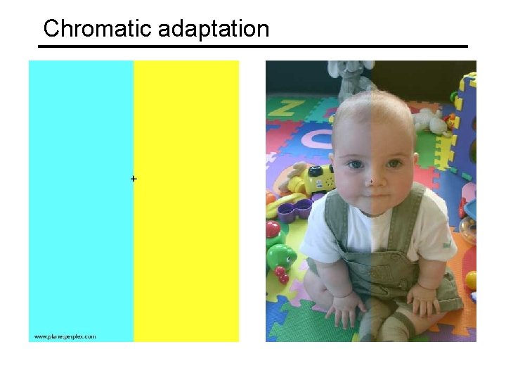 Chromatic adaptation 