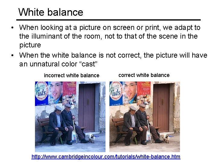 White balance • When looking at a picture on screen or print, we adapt