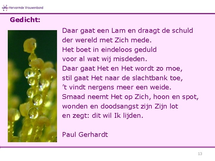 Gedicht: Daar gaat een Lam en draagt de schuld der wereld met Zich mede.