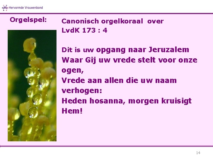 Orgelspel: Canonisch orgelkoraal over Lvd. K 173 : 4 Dit is uw opgang naar